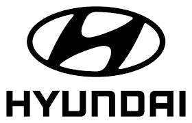 Hyundai Electric Türkiye - Proje Takip Mühendisi